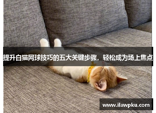 提升白猫网球技巧的五大关键步骤，轻松成为场上焦点
