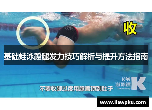 基础蛙泳蹬腿发力技巧解析与提升方法指南