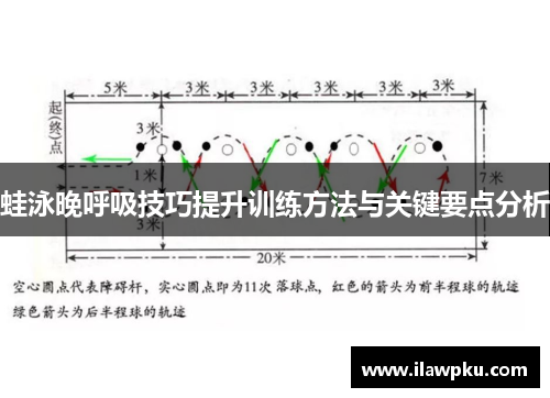 蛙泳晚呼吸技巧提升训练方法与关键要点分析